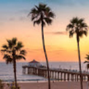 Meet your Posher, Audrey